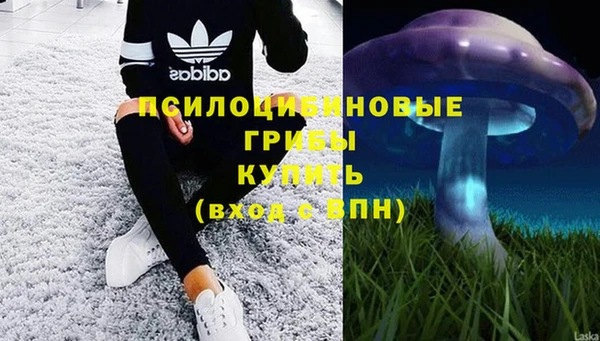 эйфоретик Абдулино
